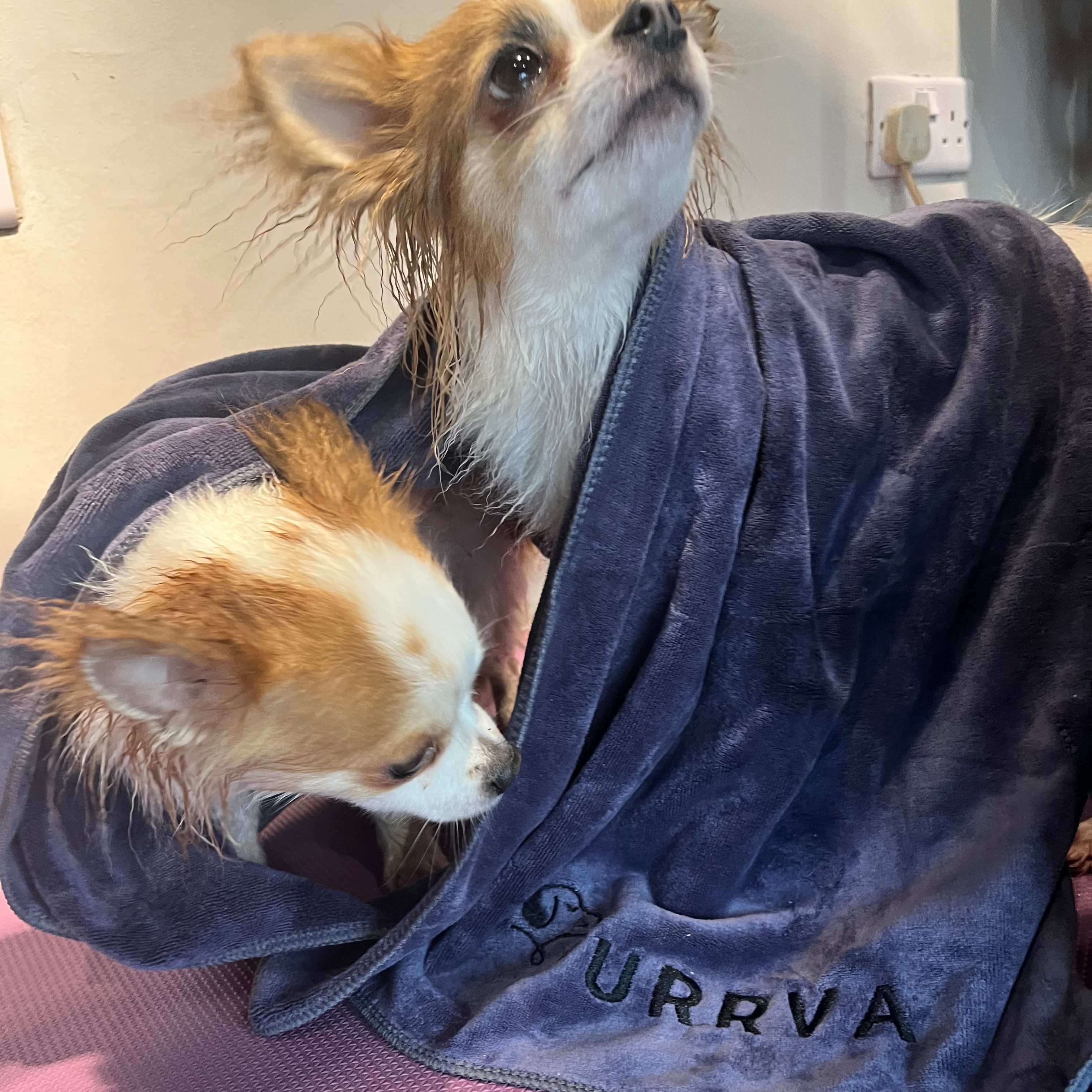 Dry-Off Towel