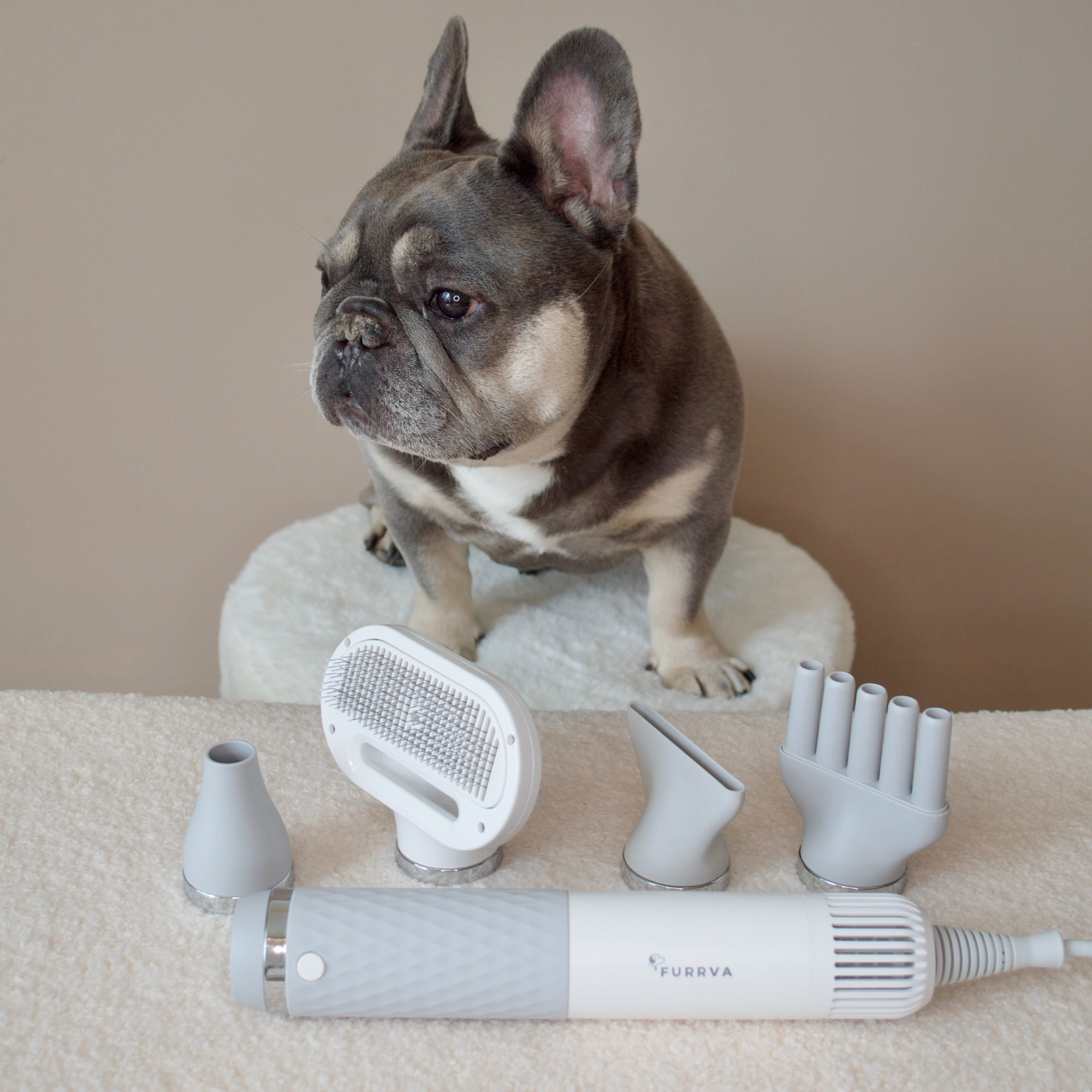 Smart Pet Dryer